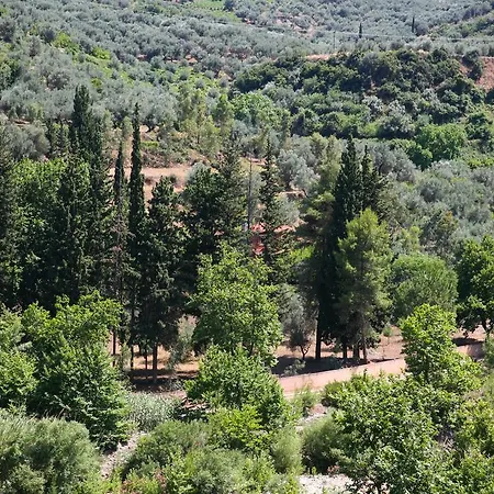Red Canyon Témeni